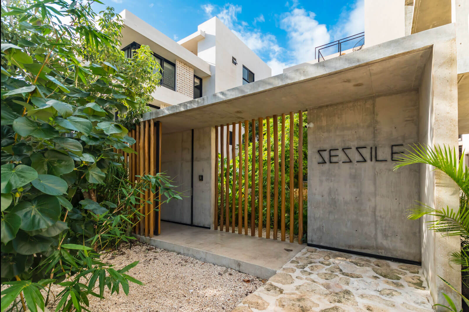 SESSILE : Grupo Origen